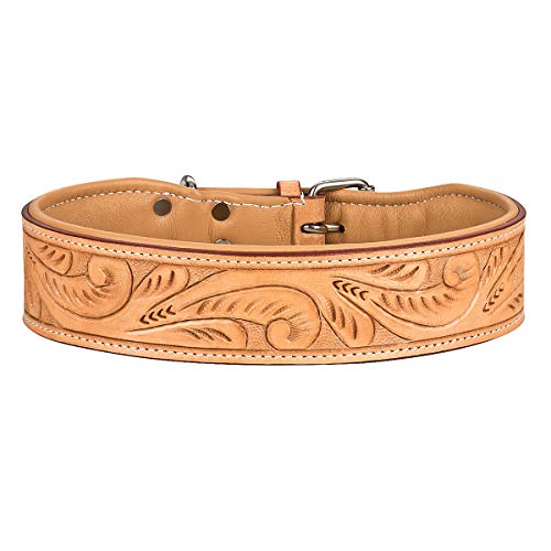 MICHUR Felipe Hundehalsband Leder, Lederhalsband Hund, Halsband, Leder, Caramel, Beige, Braun, MIT STANZUNGEN, in verschiedenen Größen erhältlich MICHUR Felipe Hundehalsband Leder, Lederhalsband Hund, Halsband, Leder, Caramel, Beige, Braun, MIT STANZUNGEN, in verschiedenen Größen erhältlich von MICHUR OUR WORLD OF PETS FINEST