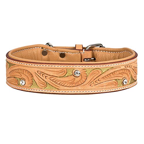MICHUR GoldenEye Hundehalsband Leder, Lederhalsband Hund, Halsband, Leder, BEIGE, Caramel, Braun, Gold, MIT STANZUNGEN UND FARBHINTERLEGUNG mit Strasssteinen, in verschiedenen Größen erhältlich MICHUR GoldenEye Hundehalsband Leder, Lederhalsband Hund, Halsband, Leder, BEIGE, Caramel, Braun, Gold, MIT STANZUNGEN UND FARBHINTERLEGUNG mit Strasssteinen, in verschiedenen Größen erhältlich von MICHUR OUR WORLD OF PETS FINEST