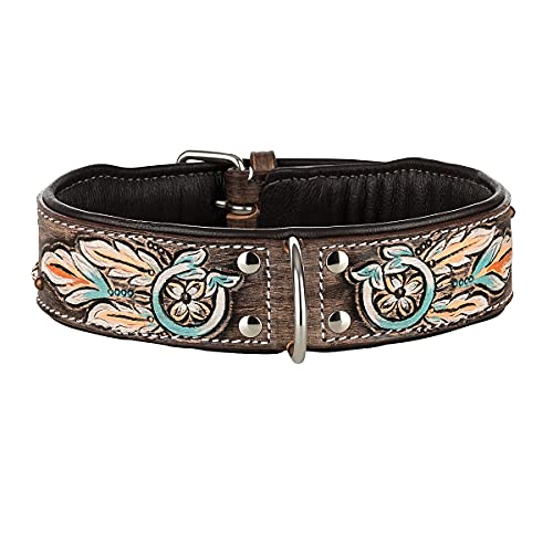 MICHUR Halona Hundehalsband Leder, Lederhalsband Hund, Halsband, Leder, Indianer, Schwarz Braun, in verschiedenen Größen erhältlich MICHUR Halona Hundehalsband Leder, Lederhalsband Hund, Halsband, Leder, Indianer, Schwarz Braun, in verschiedenen Größen erhältlich von MICHUR OUR WORLD OF PETS FINEST