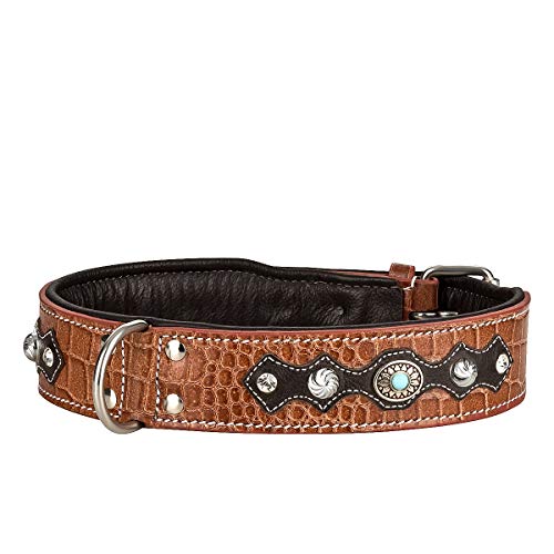 MICHUR Lakota Hundehalsband Leder, Lederhalsband Hund, Halsband, BRAUN, Leder, Blaue Steine MIT RUNDNIETEN, in verschiedenen Größen erhältlich MICHUR Lakota Hundehalsband Leder, Lederhalsband Hund, Halsband, BRAUN, Leder, Blaue Steine MIT RUNDNIETEN, in verschiedenen Größen erhältlich von MICHUR OUR WORLD OF PETS FINEST
