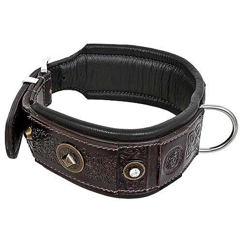 MICHUR Maximus Hundehalsband Leder, Lederhalsband Hund, Halsband, Braun mit schönem Stanzmuster, Leder, in verschiedenen Größen erhältlich MICHUR Maximus Hundehalsband Leder, Lederhalsband Hund, Halsband, Braun mit schönem Stanzmuster, Leder, in verschiedenen Größen erhältlich von MICHUR OUR WORLD OF PETS FINEST