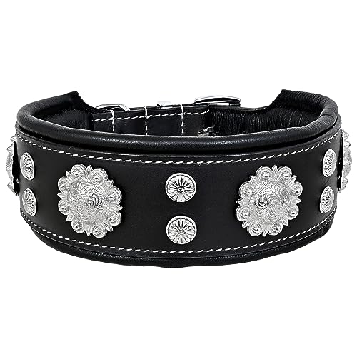 MICHUR Nero Hundehalsband Leder, Lederhalsband Hund, Halsband, schwarz mit schönem Stanzmuster und silbernen Aplikationen Breit, Leder, in verschiedenen Größen erhältlich MICHUR Nero Hundehalsband Leder, Lederhalsband Hund, Halsband, schwarz mit schönem Stanzmuster und silbernen Aplikationen Breit, Leder, in verschiedenen Größen erhältlich von MICHUR OUR WORLD OF PETS FINEST