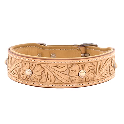 MICHUR Rafael Hundehalsband Leder, Lederhalsband Hund, Halsband, BEIGE, Leder, mit gestanzten Blumenmuster und beigen Steinchen, in verschiedenen Größen erhältlich, Halsumfang 47-54cm MICHUR Rafael Hundehalsband Leder, Lederhalsband Hund, Halsband, BEIGE, Leder, mit gestanzten Blumenmuster und beigen Steinchen, in verschiedenen Größen erhältlich, Halsumfang 47-54cm von MICHUR OUR WORLD OF PETS FINEST