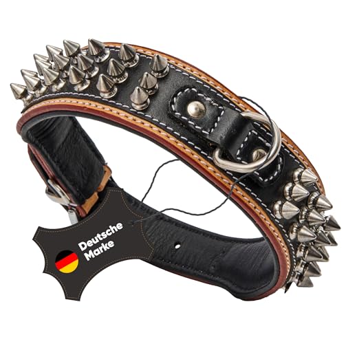 MICHUR Strike NO. 1 Hundehalsband Leder, Halsband, Lederhalsband Hund, Nieten, Halsband Leder MIT Nieten, BEIGE SCHWARZ BREIT, in verschiedenen Größen erhältlich MICHUR Strike NO. 1 Hundehalsband Leder, Halsband, Lederhalsband Hund, Nieten, Halsband Leder MIT Nieten, BEIGE SCHWARZ BREIT, in verschiedenen Größen erhältlich von MICHUR OUR WORLD OF PETS FINEST