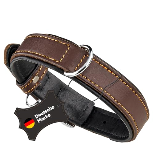 Michur Minimo Hundehalsband Leder, Lederhalsband Hund, Halsband, Braun, Leder, in verschiedenen Größen erhältlich Michur Minimo Hundehalsband Leder, Lederhalsband Hund, Halsband, Braun, Leder, in verschiedenen Größen erhältlich von MICHUR OUR WORLD OF PETS FINEST