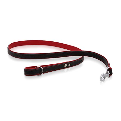 Michur Minimo Rot Leine, Hundeleine Leder, Lederleine Hund, PASSEND ZUM Halsband Minimo Rot, Leder Michur Minimo Rot Leine, Hundeleine Leder, Lederleine Hund, PASSEND ZUM Halsband Minimo Rot, Leder von MICHUR OUR WORLD OF PETS FINEST