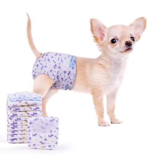 MICOOYO Einwegartikel für Haustiere, Violett, Größe XS, 50 Stück von MICOOYO