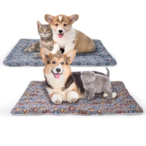 MICOOYO Hundematratze, Fleece, waschbar, Katzenkissen für kleine Hunde, Katzen, Welpen, 69 x 52 cm, 2 Stück MICOOYO Hundematratze, Fleece, waschbar, Katzenkissen für kleine Hunde, Katzen, Welpen, 69 x 52 cm, 2 Stück von MICOOYO