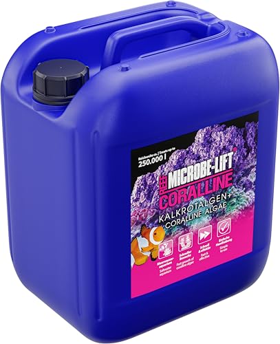 Microbe-Lift Coralline - 5 L - Kalkrotalgen-Booster zur Beschleunigung des Wachstums und Intensivierung der Farben von Kalkrotalgen in Meerwasseraquarien. Microbe-Lift Coralline - 5 L - Kalkrotalgen-Booster zur Beschleunigung des Wachstums und Intensivierung der Farben von Kalkrotalgen in Meerwasseraquarien. von ARKA
