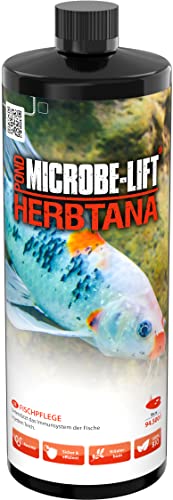 Microbe-Lift Pond Herbtana - 946 ml - Natürliches, kräuterbasiertes Mittel zur Stärkung des Immunsystems von Teichfischen, unterstützt gesunde Fischpopulationen. von ARKA