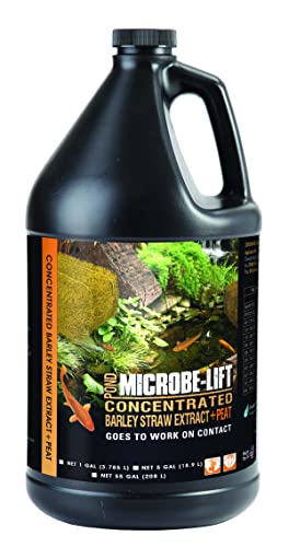 Microbe-Lift BSEPG4 konzentrierter Gerstenstroh-Extrakt Plus flüssiger Torf-Conditioner für Teiche und Wassergarten im Freien, sicher für lebende Koifische, Pflanzen und Dekorationen, 3,8 l Microbe-Lift BSEPG4 konzentrierter Gerstenstroh-Extrakt Plus flüssiger Torf-Conditioner für Teiche und Wassergarten im Freien, sicher für lebende Koifische, Pflanzen und Dekorationen, 3,8 l von MICROBE-LIFT