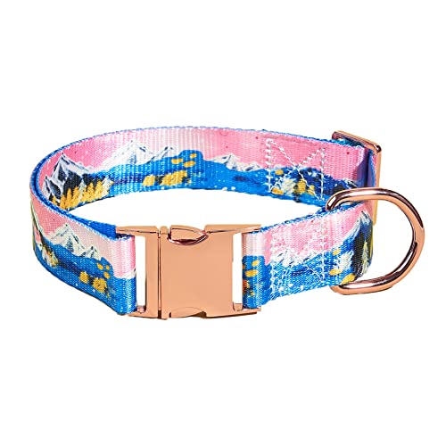 MIDEPET Großes Hundehalsband Druckhalsband Verstellbare Hundehalsbänder mit Sicherheits-Metallschnalle für extra große Hundehalsbänder von MIDEPET