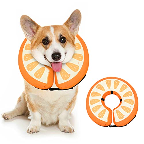 Hundekegelhalsband für kleine, mittelgroße und große Hunde nach Operationen, aufblasbares Haustier-Donut-Halsband, Orange, S von MIDOG