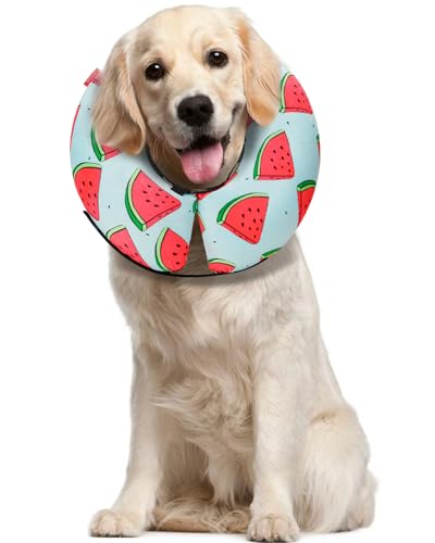 MIDOG Aufblasbares Hundehalsband, Donut-Halsband, Alternative nach Operationen, weicher schützender Genesungskegel für kleine, mittelgroße und große Hunde und Katzen, Welpen – alternatives E-Halsband von MIDOG