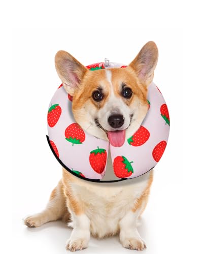 MIDOG Aufblasbares Hundehalsband, Donut-Halsband, Alternative nach Operationen, weicher schützender Genesungskegel für kleine, mittelgroße und große Hunde und Katzen, Welpen – alternatives E-Halsband von MIDOG