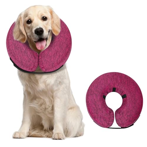 MIDOG Aufblasbares Hundehalsband, Donut-Halsband, Alternative nach Operationen, weicher schützender Genesungskegel für kleine, mittelgroße und große Hunde und Katzen, Welpen – alternatives E-Halsband MIDOG Aufblasbares Hundehalsband, Donut-Halsband, Alternative nach Operationen, weicher schützender Genesungskegel für kleine, mittelgroße und große Hunde und Katzen, Welpen – alternatives E-Halsband von MIDOG