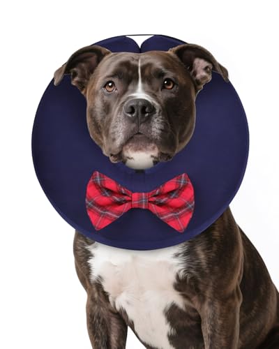 MIDOG Hundekegelhalsband für große mittelgroße Hunde, weiche aufblasbare Hundekegel-Alternative nach Operationen, verstellbarer schützender Genesungskegel – alternatives E-Halsband blockiert nicht die MIDOG Hundekegelhalsband für große mittelgroße Hunde, weiche aufblasbare Hundekegel-Alternative nach Operationen, verstellbarer schützender Genesungskegel – alternatives E-Halsband blockiert nicht die von MIDOG