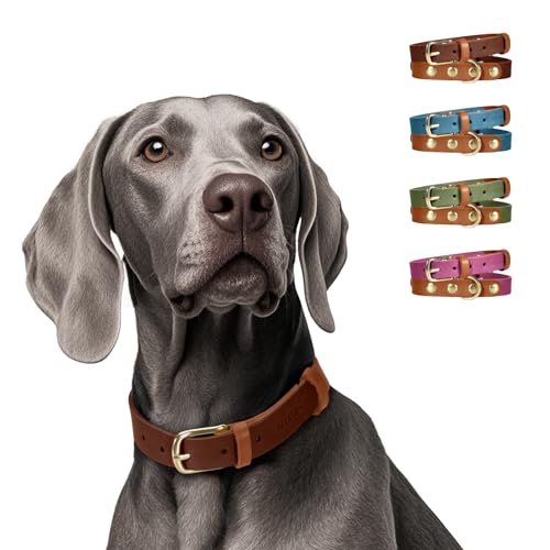 MIDOG Zweifarbiges Hundehalsband aus echtem Leder, weich und langlebig, verstellbare rostfreie Metallschnalle, geeignet für kleine, mittelgroße und große Hunde (Halsumfang von 48,3 - 58,4 cm, Braun, MIDOG Zweifarbiges Hundehalsband aus echtem Leder, weich und langlebig, verstellbare rostfreie Metallschnalle, geeignet für kleine, mittelgroße und große Hunde (Halsumfang von 48,3 - 58,4 cm, Braun, von MIDOG