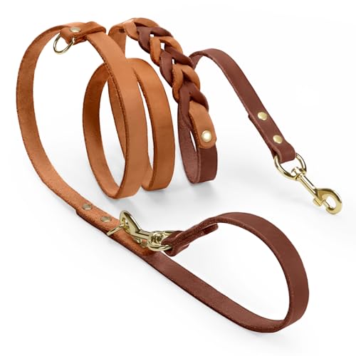 Midog Hundeleine aus Leder, Taillenleine für Spaziergänge mit dem Hund, 1,8 m, robust, aus starkem Echtleder, geflochten, weich und bequem für das Training großer, mittlerer und kleiner Hunde (Braun, Midog Hundeleine aus Leder, Taillenleine für Spaziergänge mit dem Hund, 1,8 m, robust, aus starkem Echtleder, geflochten, weich und bequem für das Training großer, mittlerer und kleiner Hunde (Braun, von MIDOG
