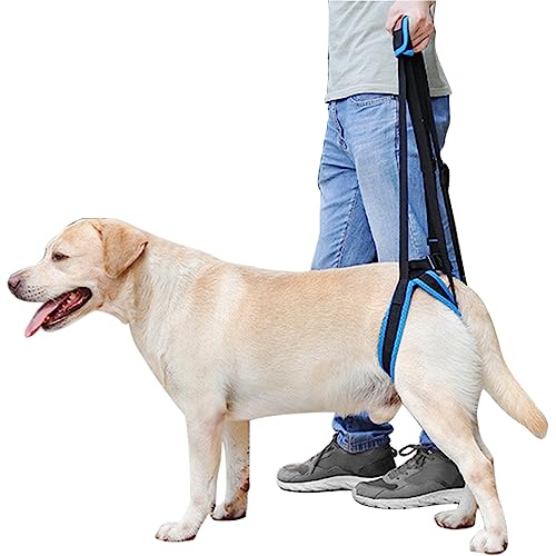 MIGHTYDUTY Tragehilfe Hund Hinterbeine rüde Weibchen Tragbar Einstellbar Bietet Unterstützung Hilft Hunden mit Schwachen Hinterbeinen, Fortgeschrittenem Alter, Verletzungen, Behinderungen L MIGHTYDUTY Tragehilfe Hund Hinterbeine rüde Weibchen Tragbar Einstellbar Bietet Unterstützung Hilft Hunden mit Schwachen Hinterbeinen, Fortgeschrittenem Alter, Verletzungen, Behinderungen L von MIGHTYDUTY