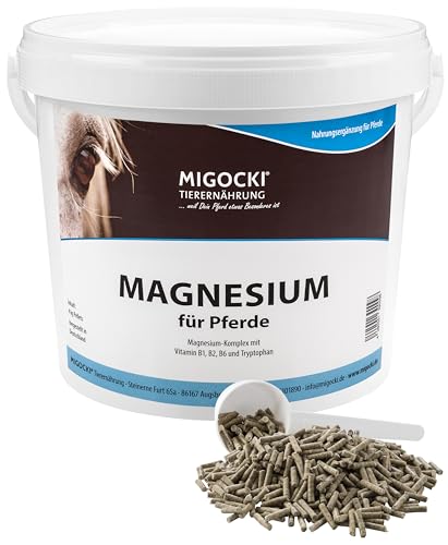 MIGOCKI Magnesium für Pferde mit Tryptophan und Vitamin-B-Komplex - pelletiertes Ergänzungsfuttermittel (4 kg Eimer) von MIGOCKI