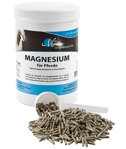 MIGOCKI Magnesium für Pferde mit Tryptophan und Vitamin-B-Komplex - pelletiertes Ergänzungsfuttermittel (750 g Dose) von MIGOCKI