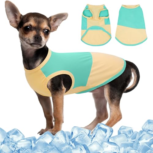 MIGOHI Atmungsaktives Hunde-T-Shirt, Größe XS, kühlt sich schnell ab, T-Shirts für kleine Hunde im Sommer, Größe XS, für Jungen und Mädchen, schnell trocknend, Sonnenschutz, Grüngelb, Größe XS MIGOHI Atmungsaktives Hunde-T-Shirt, Größe XS, kühlt sich schnell ab, T-Shirts für kleine Hunde im Sommer, Größe XS, für Jungen und Mädchen, schnell trocknend, Sonnenschutz, Grüngelb, Größe XS von MIGOHI