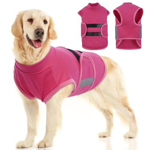 MIGOHI Hunde-Angstlinderungsmantel, bequeme Angstweste für Hunde, verstellbar, beruhigender Wickel für Feuerwerk, Gewitter, Reisen, Trennung, Hunde-Angstjacke für kleine Hunde, L, roserfarben MIGOHI Hunde-Angstlinderungsmantel, bequeme Angstweste für Hunde, verstellbar, beruhigender Wickel für Feuerwerk, Gewitter, Reisen, Trennung, Hunde-Angstjacke für kleine Hunde, L, roserfarben von MIGOHI
