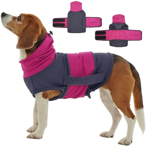MIGOHI Hunde-Angstweste, gewichtete Hundeweste, Angstjacke für kleine Hunde, Jungen und Mädchen, Angst und Stress, Feuerwerk, Trennung, Reisen, Lärm, Stürme, Tierarztbesuche, Shih Tzu, XS, Lila MIGOHI Hunde-Angstweste, gewichtete Hundeweste, Angstjacke für kleine Hunde, Jungen und Mädchen, Angst und Stress, Feuerwerk, Trennung, Reisen, Lärm, Stürme, Tierarztbesuche, Shih Tzu, XS, Lila von MIGOHI