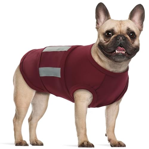 MIGOHI Hunde-Angstweste, verstellbare Hundeweste für große Hunde, beruhigende Weste für Gewitter, Feuerwerk, Reisen und Trennung, Angstlinderung für Hunde, Feuerwerk, Angstlinderung, XL, Bordeaux MIGOHI Hunde-Angstweste, verstellbare Hundeweste für große Hunde, beruhigende Weste für Gewitter, Feuerwerk, Reisen und Trennung, Angstlinderung für Hunde, Feuerwerk, Angstlinderung, XL, Bordeaux von MIGOHI