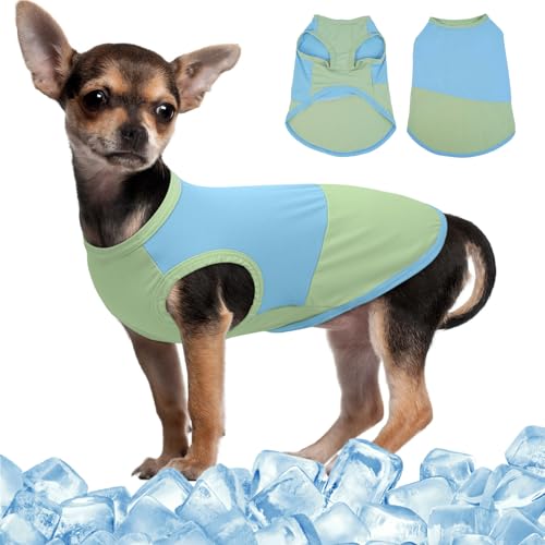 MIGOHI Leichte Kühlweste für kleine Hunde, Sonne, ärmellose Weste, Sommer für Männer und Frauen, Welpenkleidung für kleine Hunde, Jungen und Mädchen, Strand, Wandern und Camping, Blau, Größe S MIGOHI Leichte Kühlweste für kleine Hunde, Sonne, ärmellose Weste, Sommer für Männer und Frauen, Welpenkleidung für kleine Hunde, Jungen und Mädchen, Strand, Wandern und Camping, Blau, Größe S von MIGOHI
