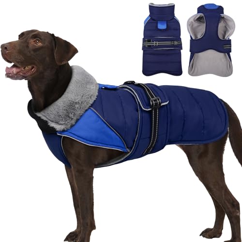MIGOHI Schneesicherer Hundemantel, dicke Fleece-Hundejacke mit verstellbarem Kragen, hält den Krieg, Wintermantel für Hunde bei kaltem Wetter, Spazierengehen, Spielen, Australischer Schäferhund MIGOHI Schneesicherer Hundemantel, dicke Fleece-Hundejacke mit verstellbarem Kragen, hält den Krieg, Wintermantel für Hunde bei kaltem Wetter, Spazierengehen, Spielen, Australischer Schäferhund von MIGOHI