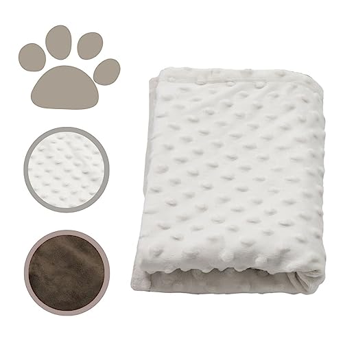 MIMIKO Pets - Hundedecke & Katzendecke Flauschig | (50x70cm) Ecru | Hundedecke für Unterwegs & Auto | Hundedecke Waschbar gut für Sofa | Decken für Katzen & Hunde | Kuscheldecke, Hundedecken von MIMIKO Pets