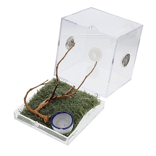 MINAOLULUS 1Satz Klein Insektenhabitat Box Tragbarer Lebensraum für Spinnen und Mikroinsekten mit Belüftung Leichtes Design für Außenbereiche MINAOLULUS 1Satz Klein Insektenhabitat Box Tragbarer Lebensraum für Spinnen und Mikroinsekten mit Belüftung Leichtes Design für Außenbereiche von MINAOLULUS