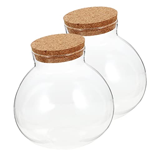 MINAOLULUS 2Stücke Terrariumglasflasche mit Korkdeckel Sphärische Ökologische Flasche für Dekorative Mikrolandschaften für Moos und Pflanzenarrangements MINAOLULUS 2Stücke Terrariumglasflasche mit Korkdeckel Sphärische Ökologische Flasche für Dekorative Mikrolandschaften für Moos und Pflanzenarrangements von MINAOLULUS