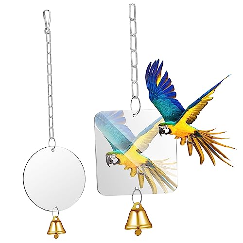 MINAOLULUS 2Stücke Vogel Spiegel mit Glocke Hängendes Zubehör für Papageienkäfige für Sittiche und Nymphensittiche Langlebig Installieren MINAOLULUS 2Stücke Vogel Spiegel mit Glocke Hängendes Zubehör für Papageienkäfige für Sittiche und Nymphensittiche Langlebig Installieren von MINAOLULUS