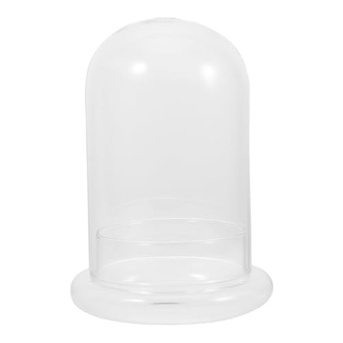 MINAOLULUS Micro-Landschaftsvase DIY Mikrolandschaftsvase Pflanzenbehälter aus Glas für Terrarien Kleiner Fischtank Terrarienglas Glas mit hohem Borosilikatgehalt Transparent MINAOLULUS Micro-Landschaftsvase DIY Mikrolandschaftsvase Pflanzenbehälter aus Glas für Terrarien Kleiner Fischtank Terrarienglas Glas mit hohem Borosilikatgehalt Transparent von MINAOLULUS