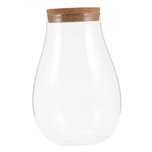 MINAOLULUS DIY Hydroponic Bryophyte Container Glas Terrarium Für Wasserpflanzen Mit Korkverschluss Für Innendekoration Und Mikrolandschaften von MINAOLULUS