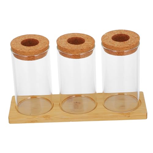 MINAOLULUS Satz Hydro Ponische Pflanzen Flasche Terrarienpflanzer Vermehrungsvase Hydroponische Vermehrungsstation Pflanzgefäße Zur Vermehrung Mikro-landschaftspflanzer Transparent Glas von MINAOLULUS