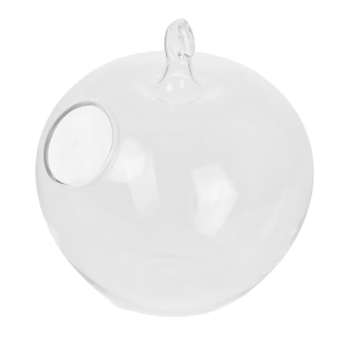 MINAOLULUS Sukkulenten-Terrarium-kit Hängendes Fischglas Terrarium Bausatz Selber Machen Ornament Display Stand Metall Transparent von MINAOLULUS