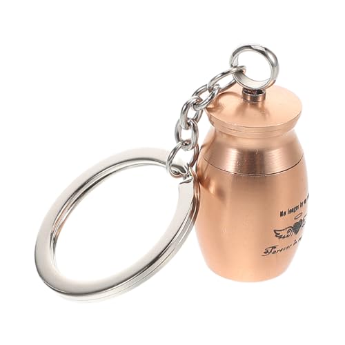 MINAOLULUS Urne Mini -Asche -Schlüsselkette Haustier -Asche -Schlüsselschmuck Schlüsselanhänger Asche Andenken Pet Ashes Container Aschebehälter Metall Golden von MINAOLULUS