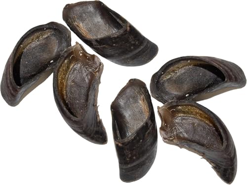 Freeze Dried Rabbit Feet Dog Treats, Natural Grain-Free Chews for Small & Large Dogs Single-Ingredient, High-Protein Snacks, hypoallergen, reich an Glucosamin für Gelenkgesundheit (S, Aprikose) von MINCHEDA