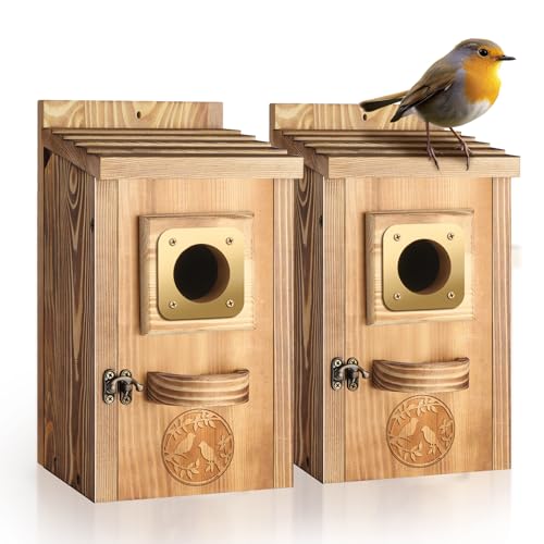 MINCORD Vogelhäuser für den Außenraum, Kiefernholz, Vogelhäuser für den Außenbereich mit Kupferschutz, Bauernhaus, Bluebird, Finken, Schwalbe, Zaunkönig, Kolibri-Haus, 2 Stück von MINCORD