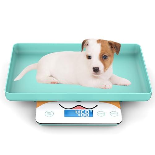 MINDPET-MED Digitale Mini-Haustierwaage für Neugeborene und Kleintiere, Präzisions-Grammwaage zum Wiegen, Genauigkeit von 0,03 oz, Kapazität von 33 lbs, fünf Einheiten umschaltbar, blau MINDPET-MED Digitale Mini-Haustierwaage für Neugeborene und Kleintiere, Präzisions-Grammwaage zum Wiegen, Genauigkeit von 0,03 oz, Kapazität von 33 lbs, fünf Einheiten umschaltbar, blau von MINDPET-MED