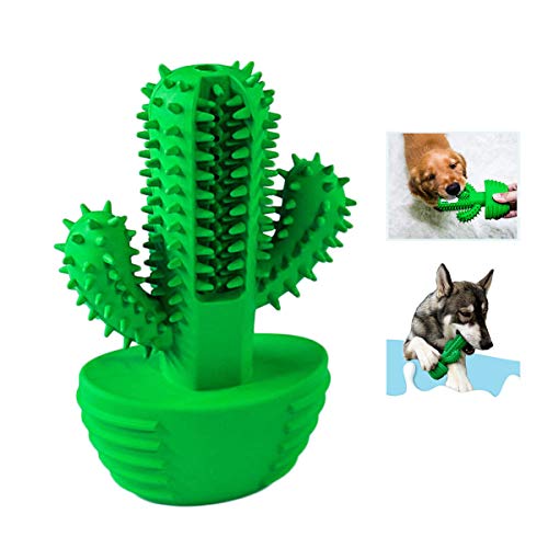 Hundezahnbürste, Kauspielzeug für Zahnreinigung, Ungiftig Natürliches Gummi Biss-resistente Hundespielzeug Kaktusform Hund Zahnbürste Stick für Kleine und Mittlere Hunde von MINGPINHUIUS