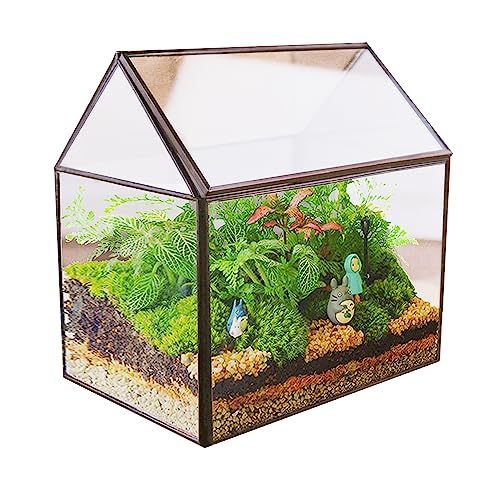 MINGZE Geometrisches Terrarium, Haus-Form, Glas, schließbar, Gewächshäuschen für Sukkulenten/Moos/Farn, mit Klappdeckel (Schwarz) von MINGZE