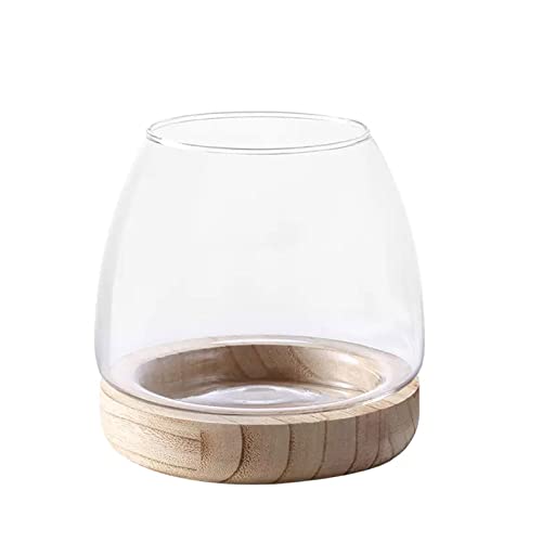 MINGZHE Mini Aquarium Fischschale, Holzstütze Transparente Glasvase Grün Hydrokulturpflanze Terrarium, Desktop Blumenarrangement für Pflanze, A von MINGZHE