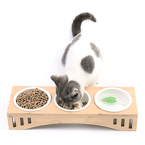 Katzen Fressnapf - Katzennapf Erhöht - Futterstation Futternapf mit Napfständer - Keramik Schalen für Wasser & Futter - Futterbar Futterschalen für Katzen und Welpen (3er Set) von MINUS ONE