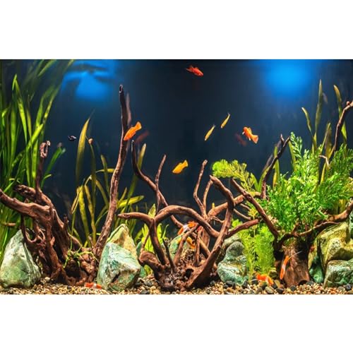 MIRRORANG 120x46cm Aquarium Hintergrund Wasserpflanze Holz Zweige Steine Aquarium Hintergrund Flussbett & See Aquarium Hintergrund MIRRORANG 120x46cm Aquarium Hintergrund Wasserpflanze Holz Zweige Steine Aquarium Hintergrund Flussbett & See Aquarium Hintergrund von MIRRORANG