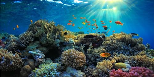 MIRRORANG 120x46cm Langlebige Vinyl Aquarium Hintergrund Koralle Tropische Fische Unterwasserwelt Aquarium Hintergrund von MIRRORANG